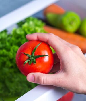 Как правильно хранить свежие помидоры и огурцы?